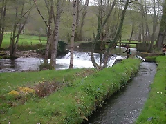 DSCN6273