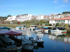DSCN7544 DSCN7544