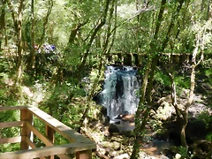 DSCN2259 DSCN2259