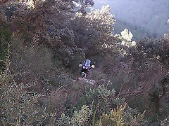 senda 3