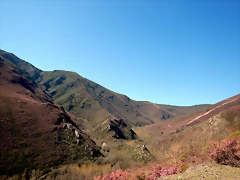 DSCN9352 DSCN9352