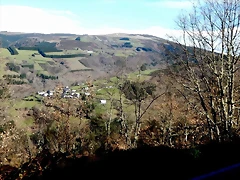 DSCN1768 DSCN1768
