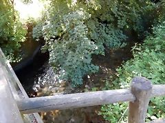 DSCN9272 DSCN9272