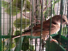 m2