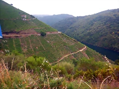 DSCN6131 DSCN6131