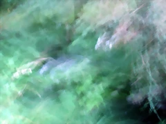 P1010215 P1010215