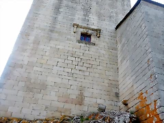 DSCN6645 DSCN6645