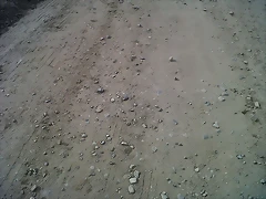 IMG00084-20111003-1650\' IMG00084-20111003-1650\'