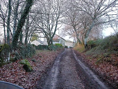 DSCN7242 DSCN7242