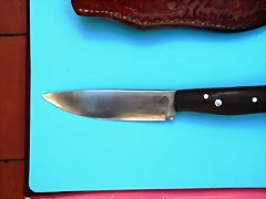 DSCF1800 DSCF1800