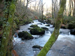 DSCN2092 DSCN2092