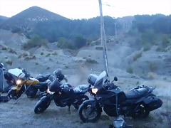 PC213817 PC213817
