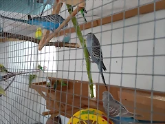 IMG_20180302_120032