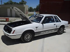 SDC14713 SDC14713
