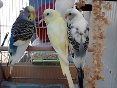 20191230_141041