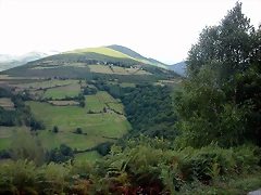 DSCN3320 DSCN3320