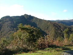 DSCN9121 DSCN9121