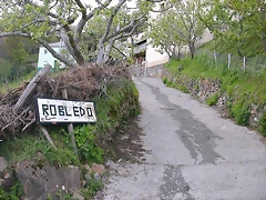 DSCN9109 DSCN9109