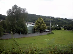 DSCN8365 DSCN8365