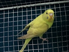 IMG_20181002_071034