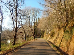 DSCN2896 DSCN2896