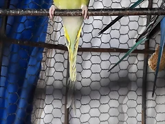 20180126_132556