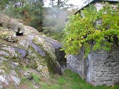 DSCN5741 DSCN5741