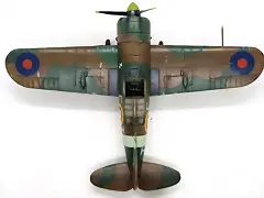 SDC39972