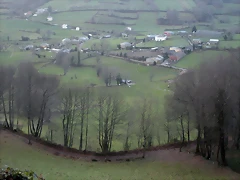 DSCN2838 DSCN2838
