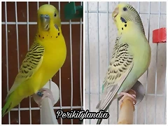 FB_IMG_1571391604247