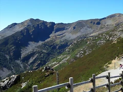 IMG_8009 IMG_8009