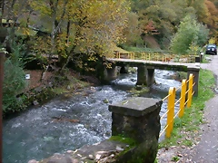 DSCN6038 DSCN6038