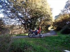 DSCN1034