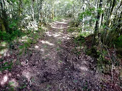 DSCN2097 DSCN2097
