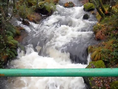 DSCN1831 DSCN1831