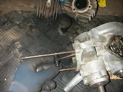 DSCN7818 DSCN7818