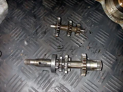 DSCN7834 DSCN7834