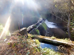 DSCN9120 DSCN9120