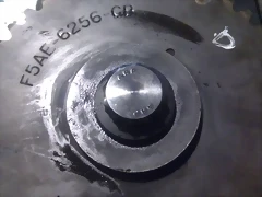 IMAG0248 IMAG0248