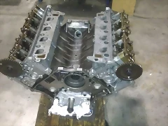 IMAG0260 IMAG0260