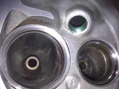 IMAG0245 IMAG0245