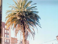 Cartagena