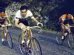 MERCKX1972,OCAA