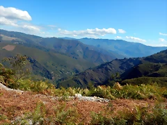 DSCN9455 DSCN9455