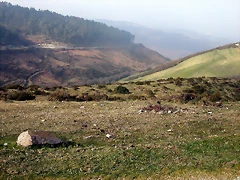 DSCN8139
