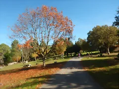 DSCN4596 DSCN4596