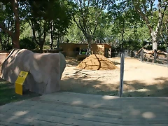 Zoo de Barcelona 18-04-11 462