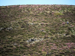 DSCF2536 DSCF2536