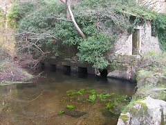 DSCN0150 DSCN0150