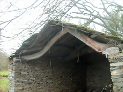 DSCN0187 DSCN0187